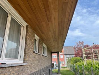 Thermowood ayous