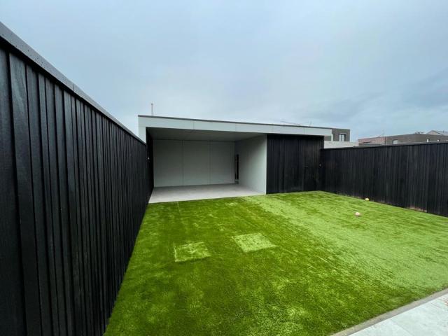 moderne tuin